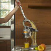 Mexican Citrus Juicer